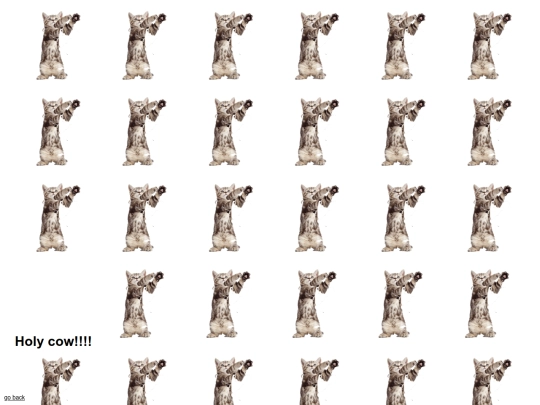 websites/2 screenshot