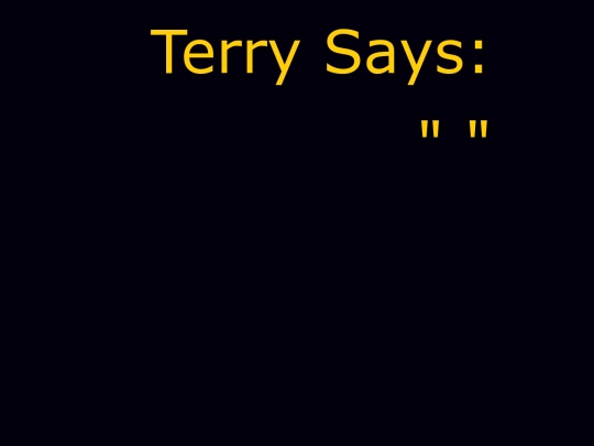 terryrandomold screenshot