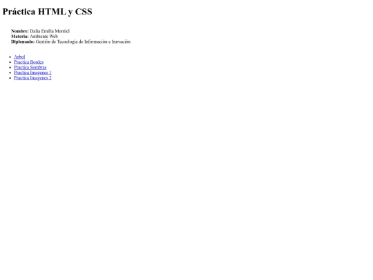 practica html screenshot
