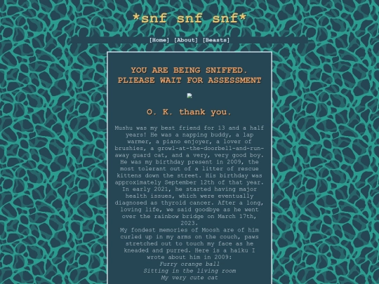 moosh screenshot