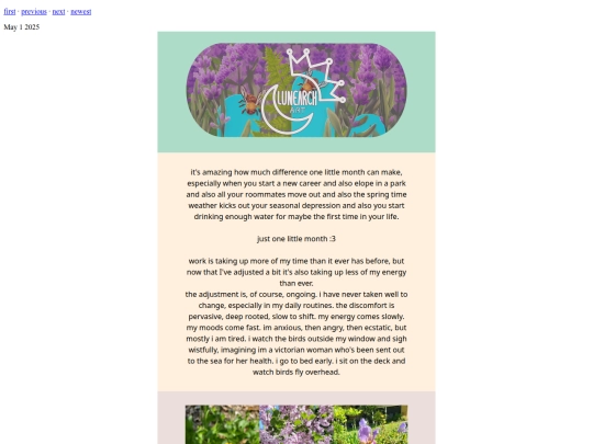 newsletter/n13 screenshot