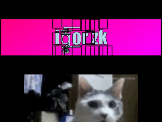 igorzk screenshot