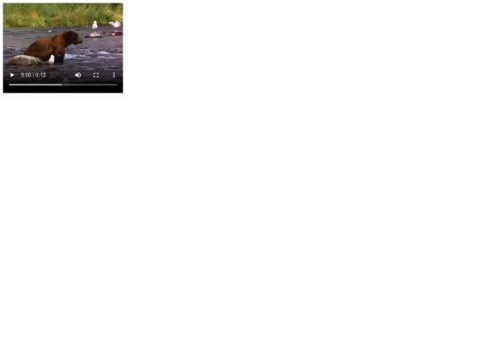 Imagenes/Tareas sueltas/videocanvas screenshot