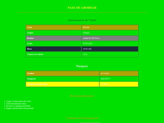 Boleto de avion screenshot