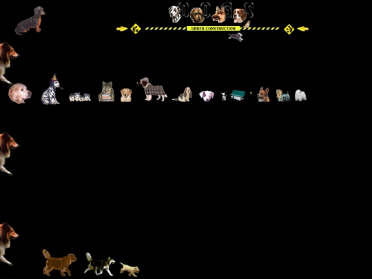 dogs screenshot