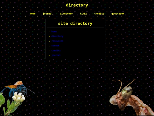 directory screenshot