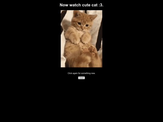cat screenshot