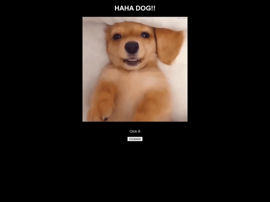 dog screenshot