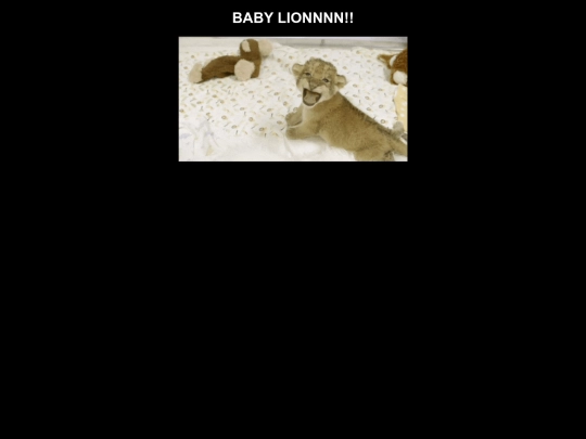 lion screenshot