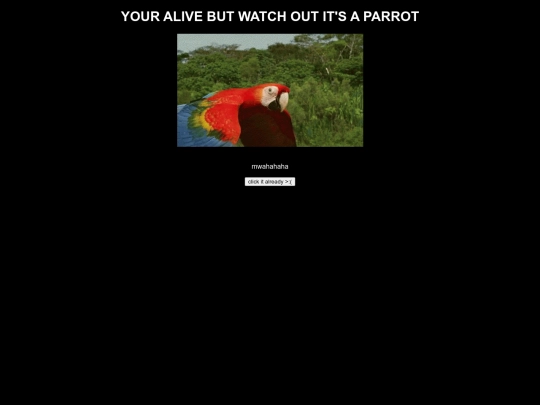 parrot screenshot
