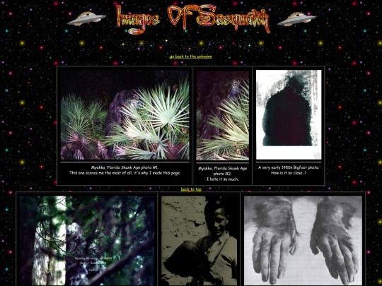unknown/cryptids/bigfeetpics screenshot