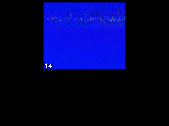 progression/newton screenshot