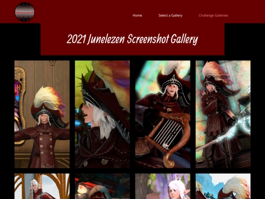 gallery/2021-Junelezen-Gallery screenshot