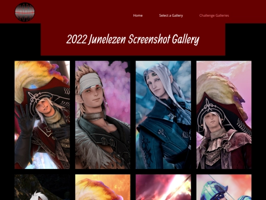 gallery/2022-Junelezen-Gallery screenshot