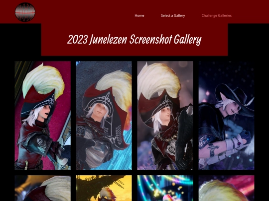 gallery/2023-Junelezen-Gallery screenshot