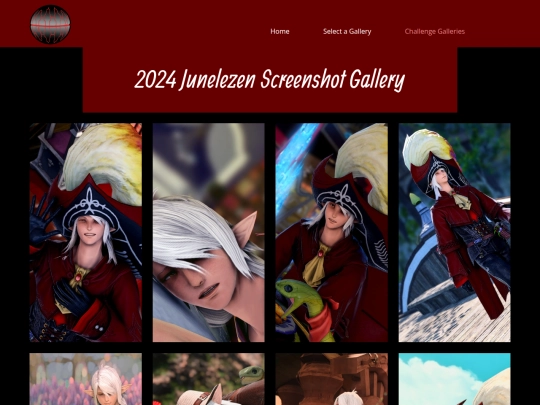 gallery/2024-Junelezen-Gallery screenshot