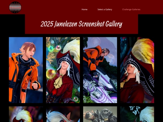 gallery/2025-Junelezen-Gallery screenshot