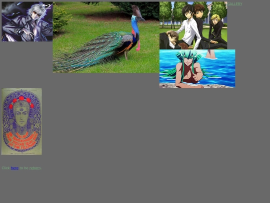 gallery screenshot
