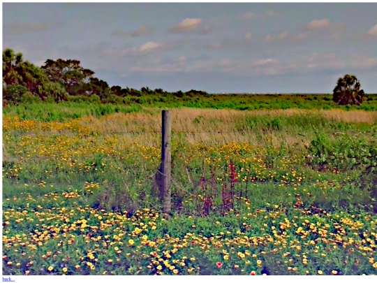 jpeg screenshot