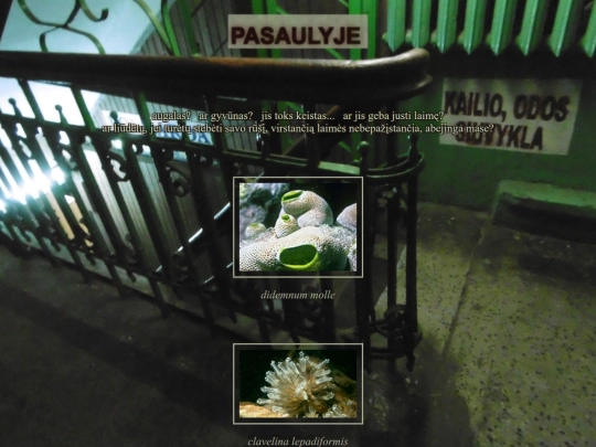 pasaulyje screenshot