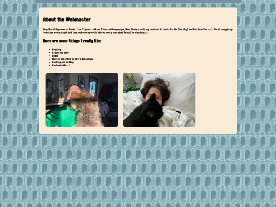 webmaster screenshot