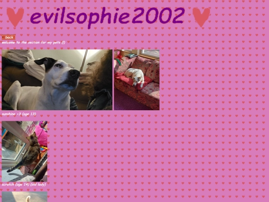 pets screenshot