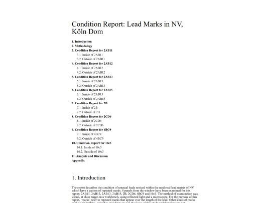 ConditionReportMarksonlead screenshot