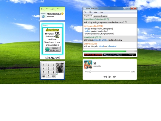 frutigeraero screenshot