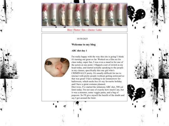 blog screenshot