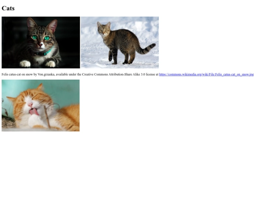 a screenshot