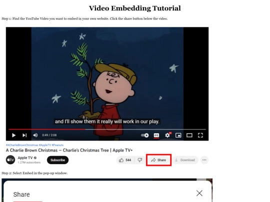 vidio screenshot