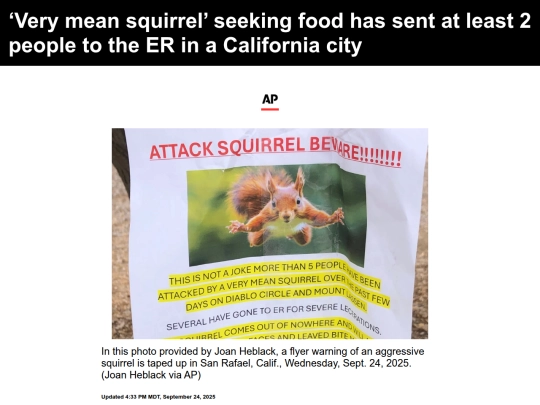 newsarticle screenshot