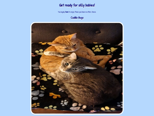 webpage 1/secondarypage screenshot
