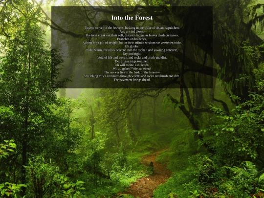 intotheforest screenshot