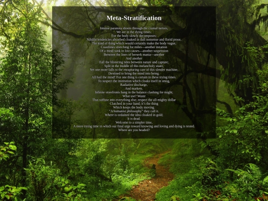 metastratification screenshot