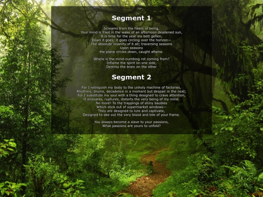 segments screenshot
