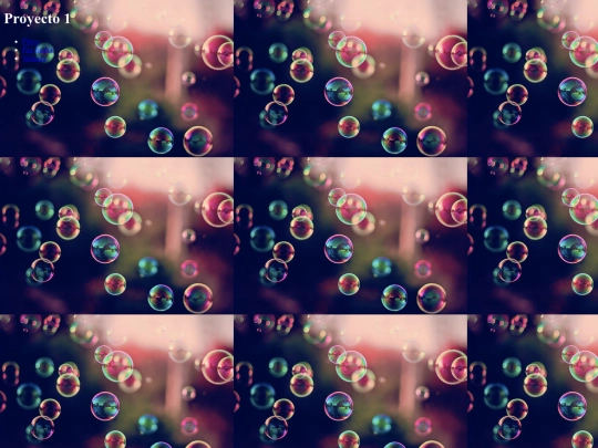 Proyecto 1 screenshot