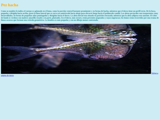 Proyecto 1/pezhachaa screenshot