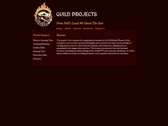 projects screenshot