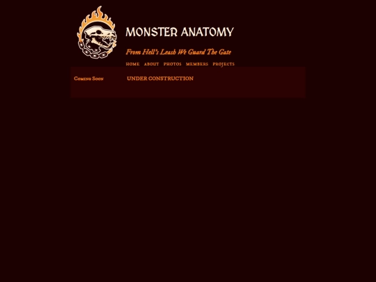 projects/anatomy screenshot