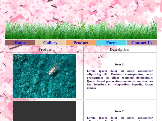 product screenshot