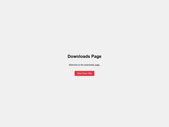 _downloads screenshot