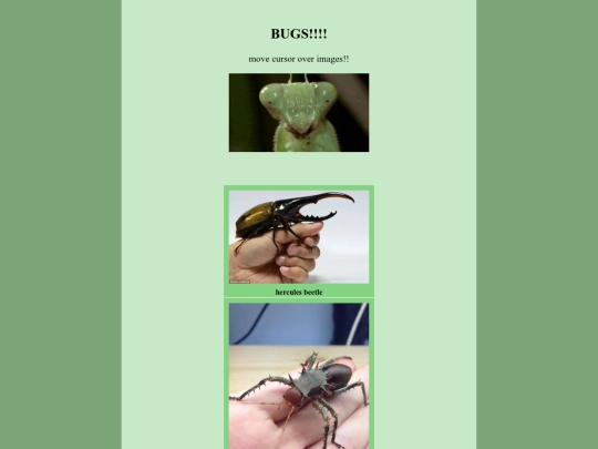 bugs screenshot