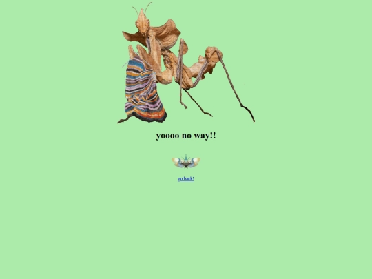 knitting screenshot