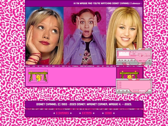 extras/eshrines/2000sdisneychannel screenshot