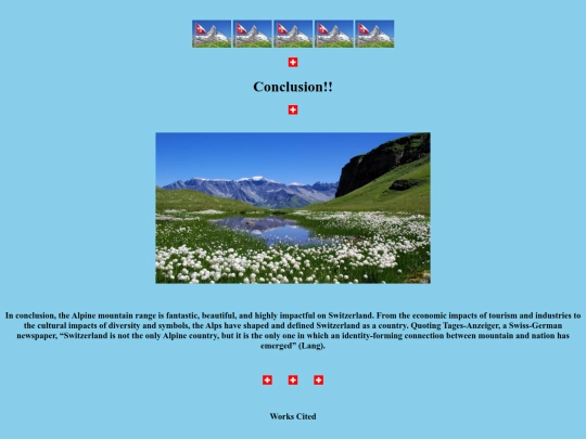 conclusion screenshot