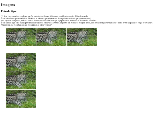 atividade5/questao4 screenshot