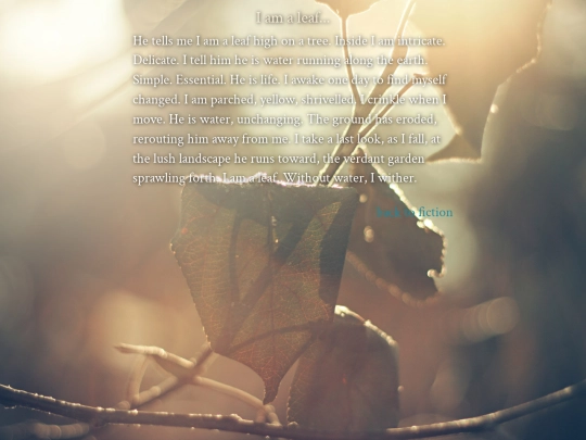 library/fiction/microfic_leaf screenshot
