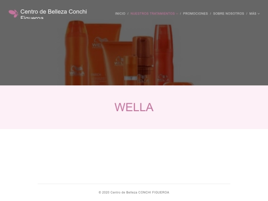 www.centrodebellezaconchifigueroa.com screenshot