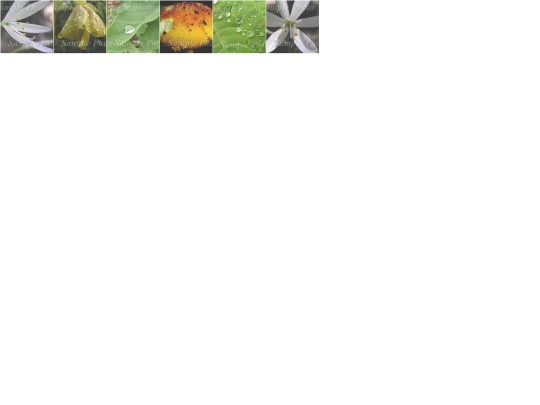 core/albums/default screenshot
